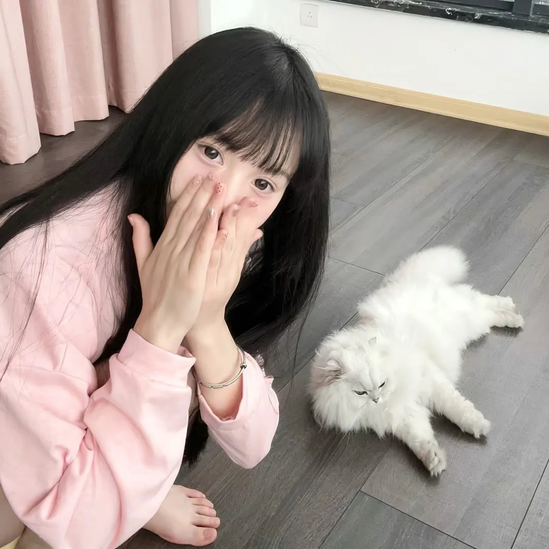 恋爱青春梦
